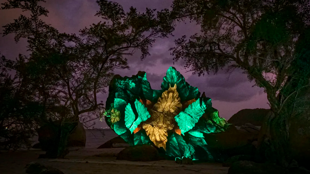 1597996266304541.png 1597996266304541.png