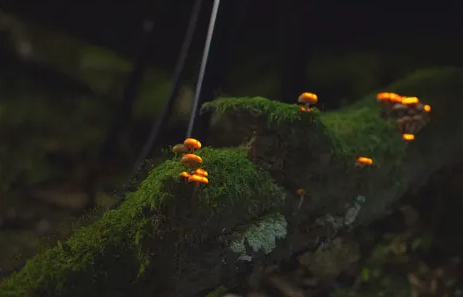 1597997092697019.png 1597997092697019.png